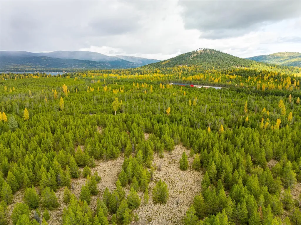 320 Lower Lost Prairie Road Marion MT 59925