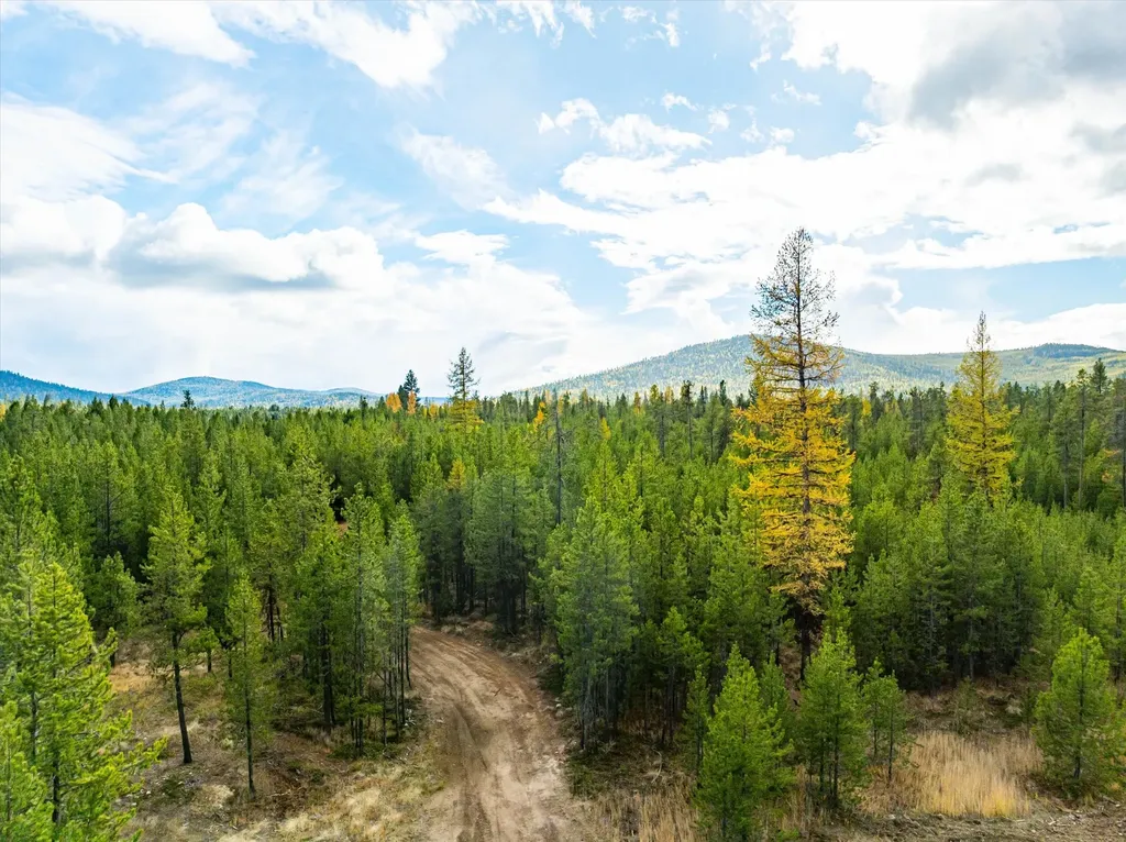 320 Lower Lost Prairie Road Marion MT 59925