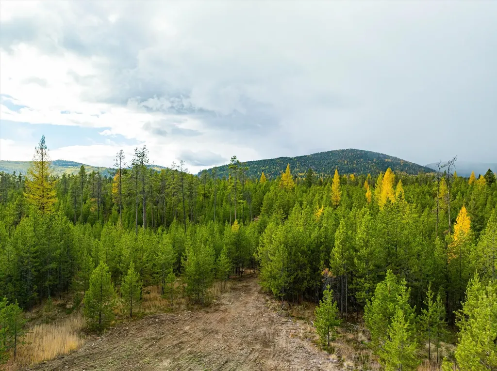320 Lower Lost Prairie Road Marion MT 59925