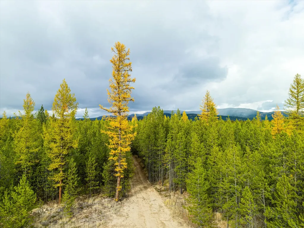 320 Lower Lost Prairie Road Marion MT 59925