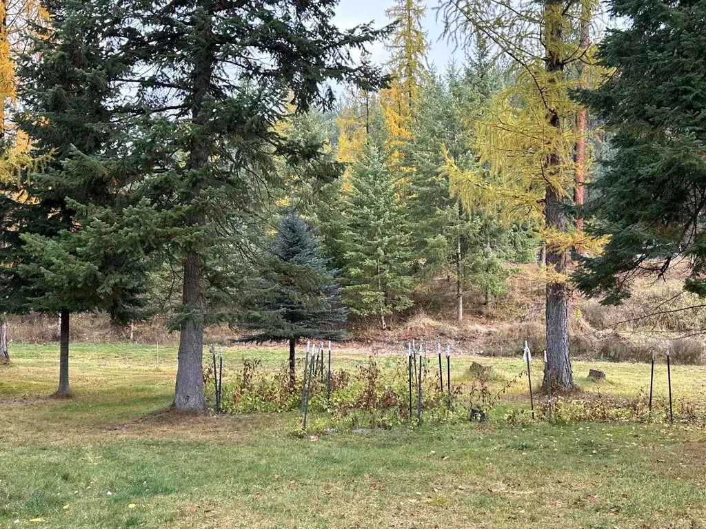 505 Main Street St Regis MT 59866