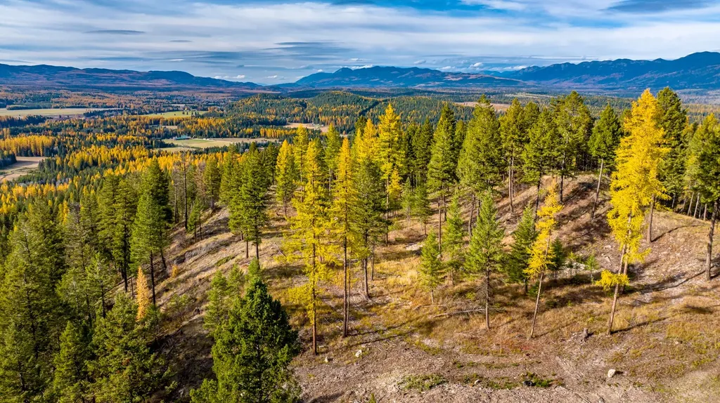 93 Northridge Court Whitefish MT 59937