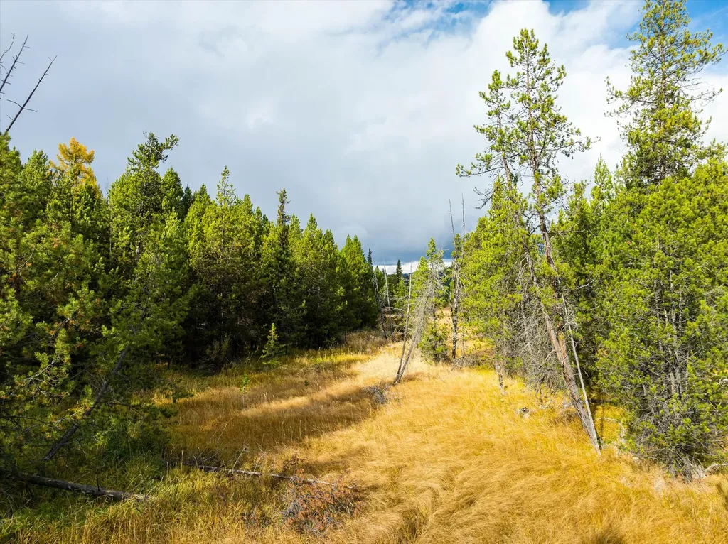 301 Lower Lost Prairie Road Marion MT 59925