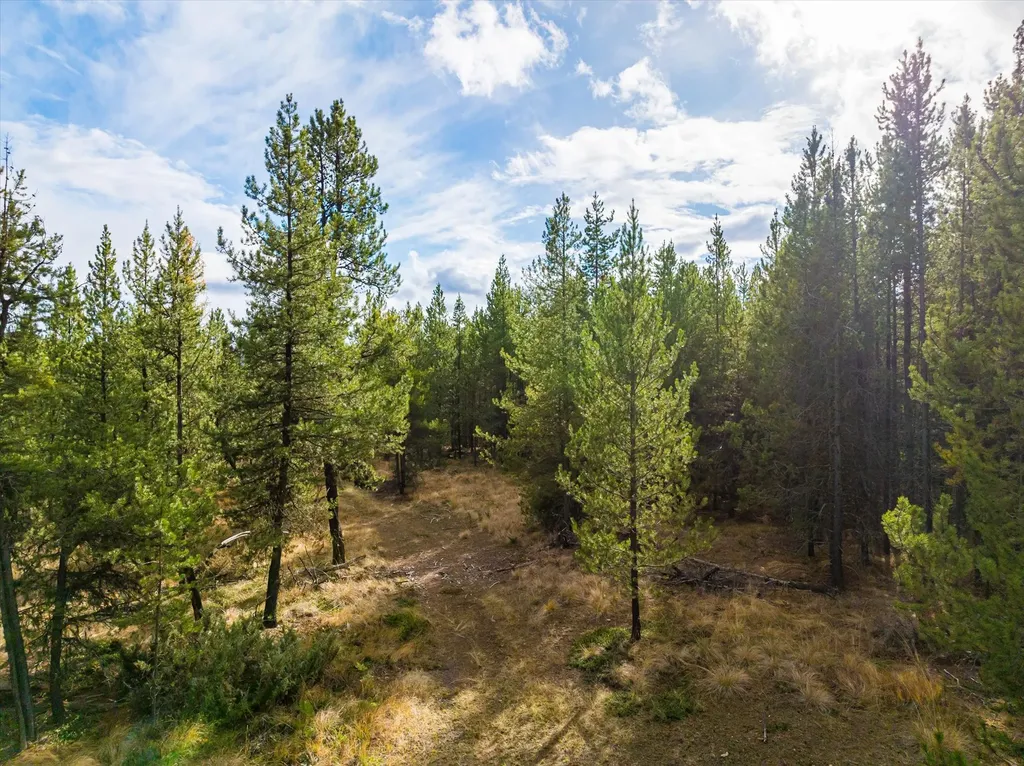 301 Lower Lost Prairie Road Marion MT 59925