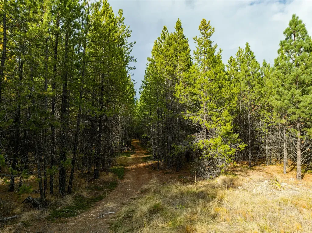 301 Lower Lost Prairie Road Marion MT 59925