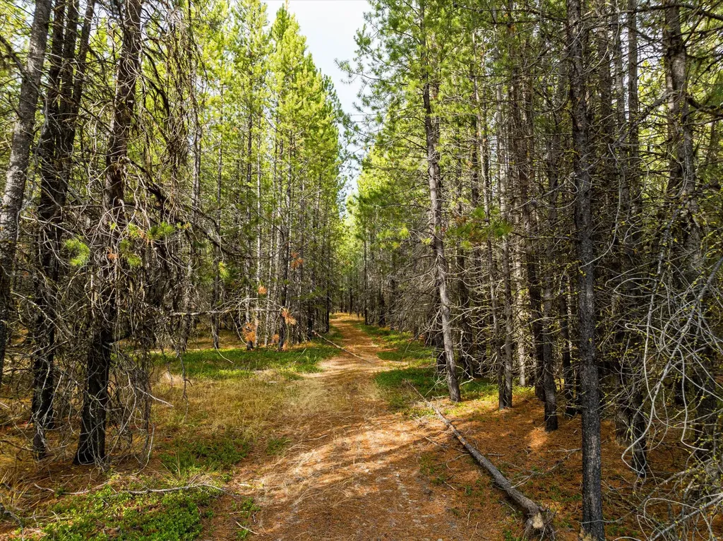 301 Lower Lost Prairie Road Marion MT 59925