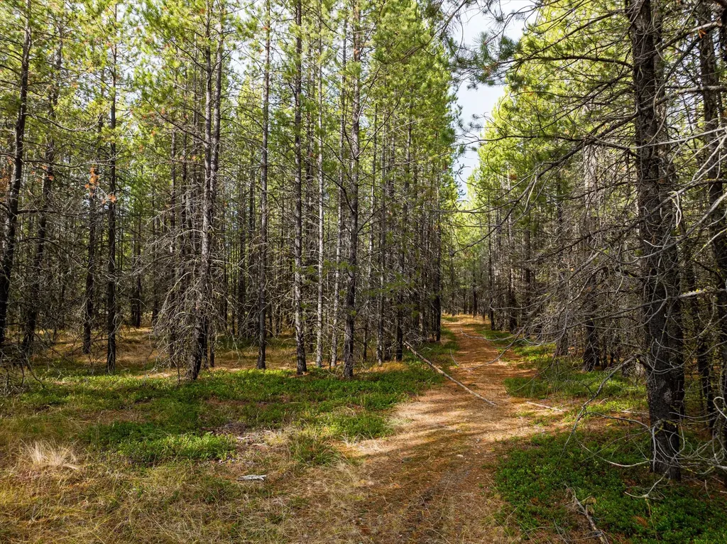 301 Lower Lost Prairie Road Marion MT 59925