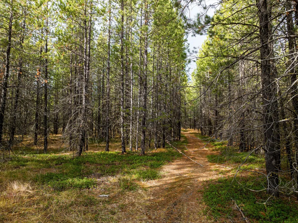 301 Lower Lost Prairie Road Marion MT 59925