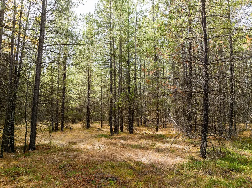 301 Lower Lost Prairie Road Marion MT 59925