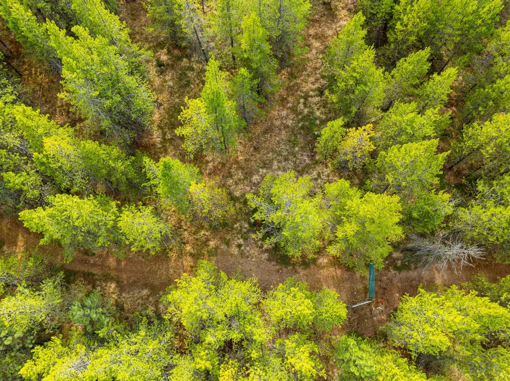 301 Lower Lost Prairie Road Marion MT 59925