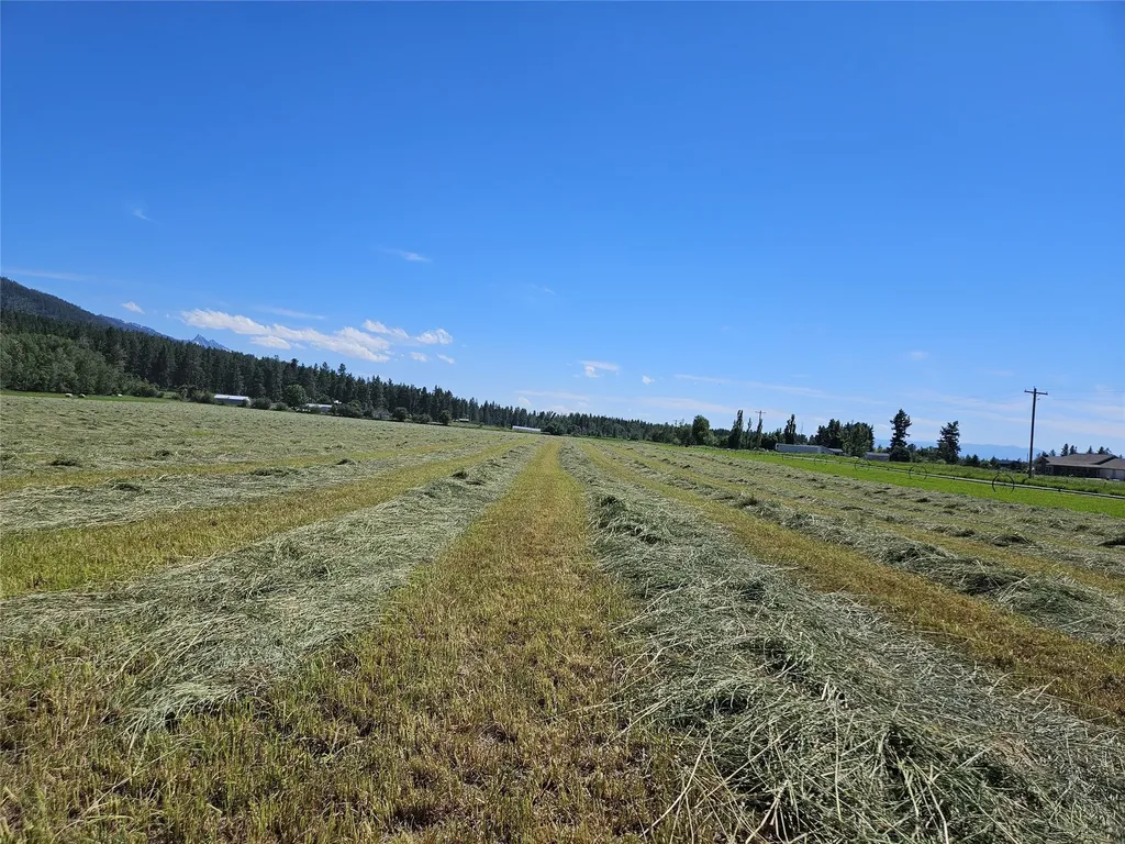 Nhn Haystack Mountain Lane Polson MT 59860