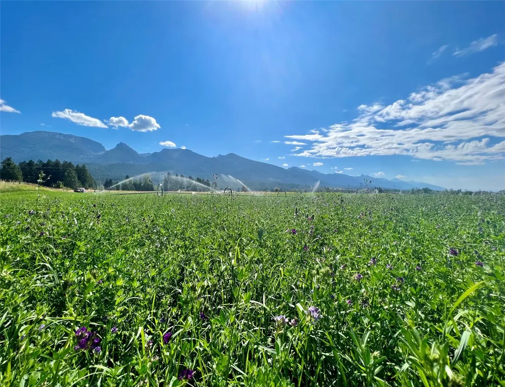 Nhn Haystack Mountain Lane Polson MT 59860