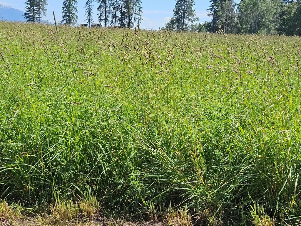 Nhn Haystack Mountain Lane Polson MT 59860