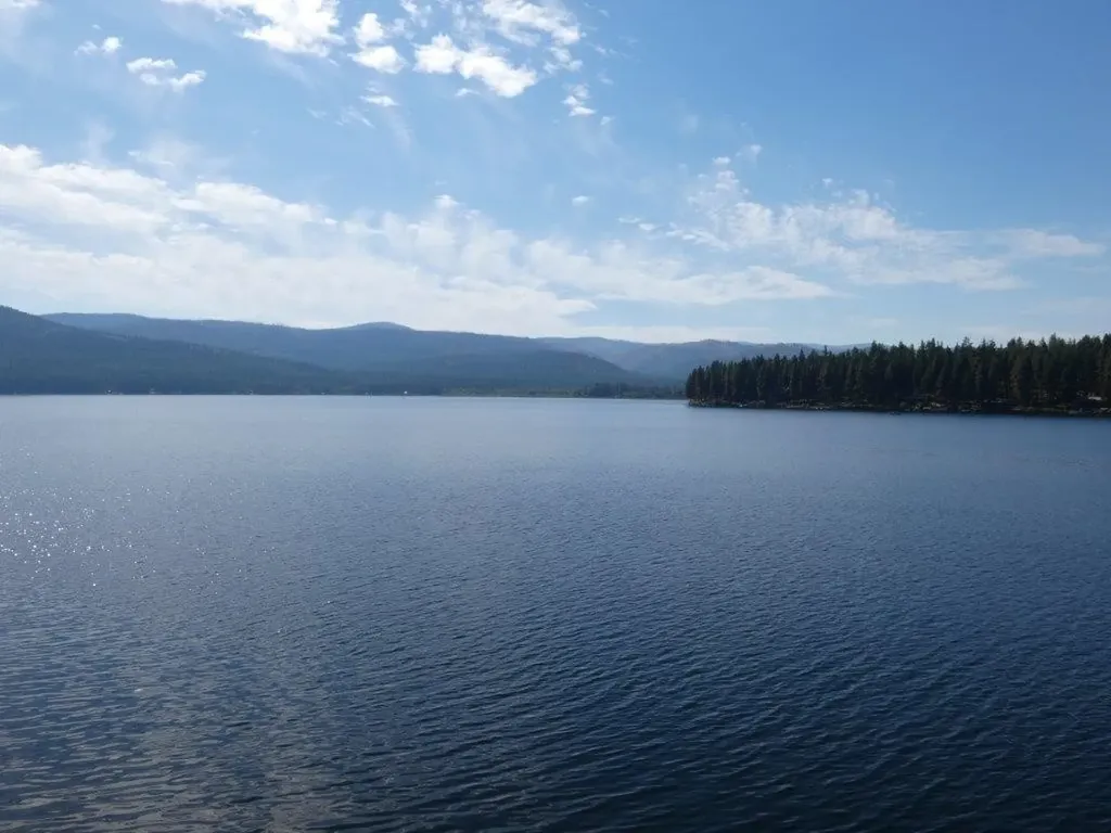 6945 N Placid Lake Road Seeley Lake MT 59868