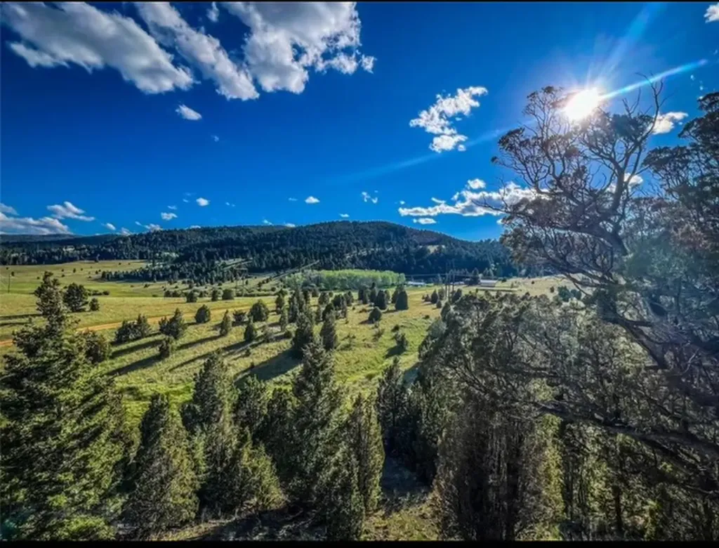 116115 S Buxton Road Butte MT 59750