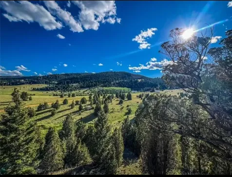 116115 S Buxton Road Butte MT 59750