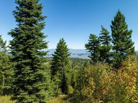 Nhn Lone Elk Trail Kila MT 59920