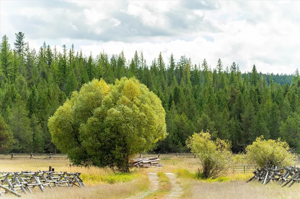 200 Hubbart Dam Road Marion MT 59925