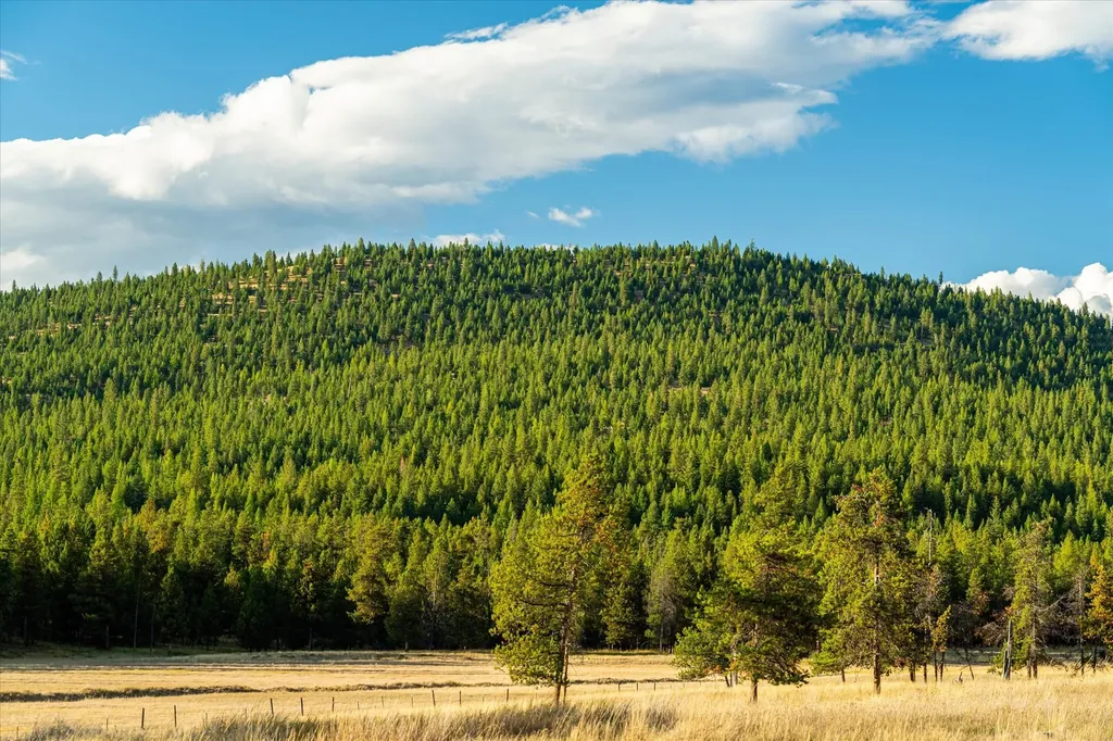 200 Hubbart Dam Road Marion MT 59925