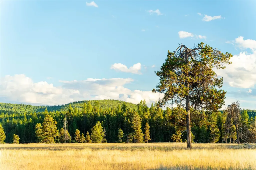 200 Hubbart Dam Road Marion MT 59925