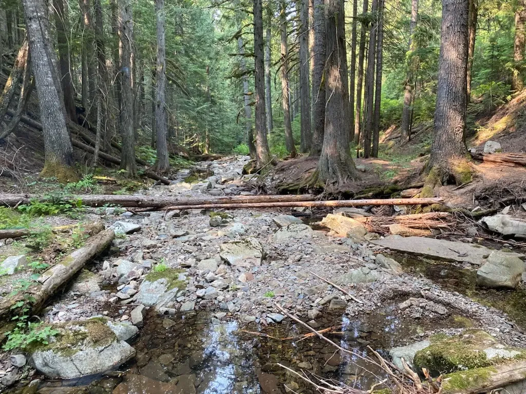 1876 Timber Creek Road Haugan MT 59866