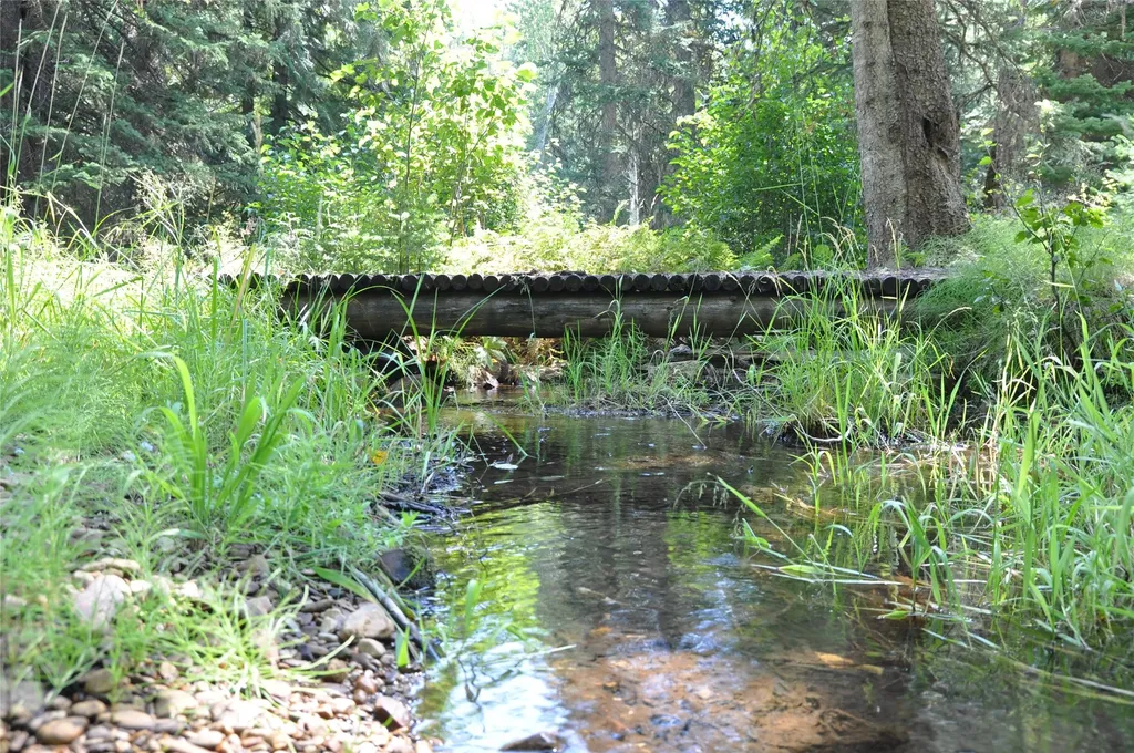 1876 Timber Creek Road Haugan MT 59866