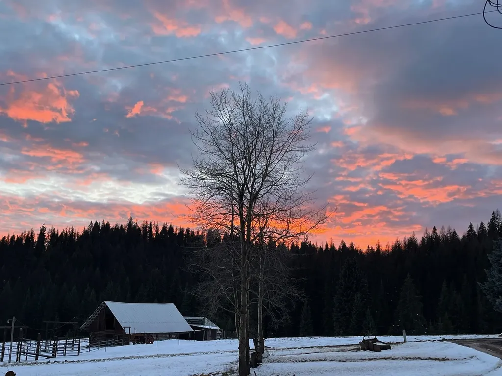 1876 Timber Creek Road Haugan MT 59866