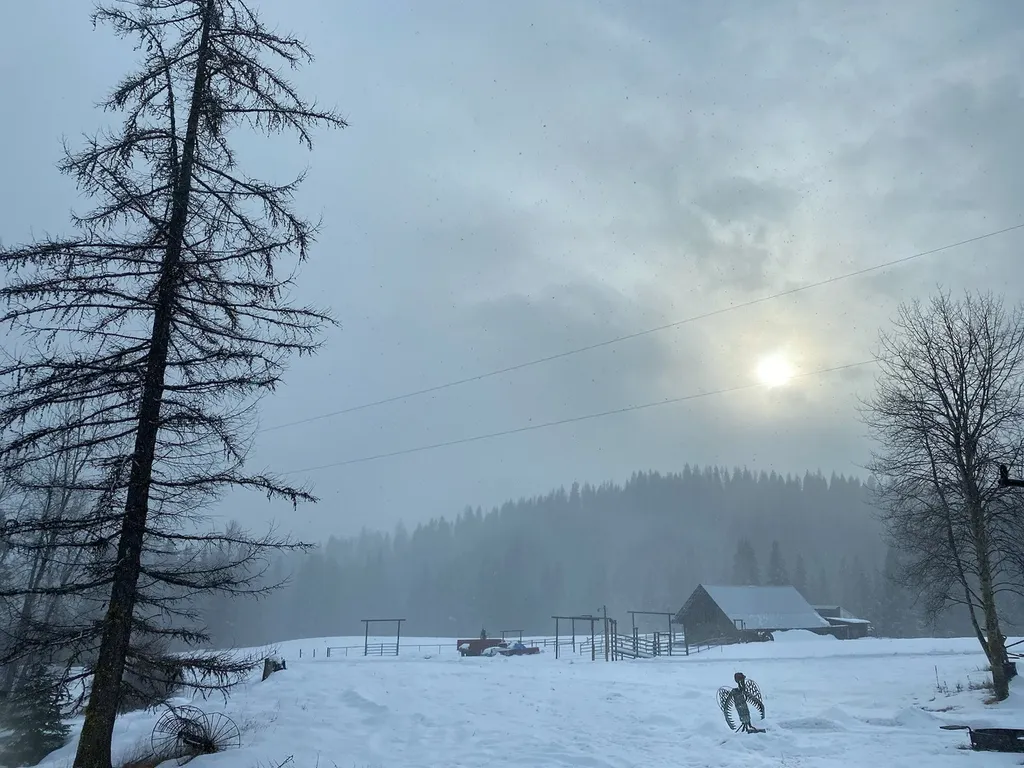 1876 Timber Creek Road Haugan MT 59866