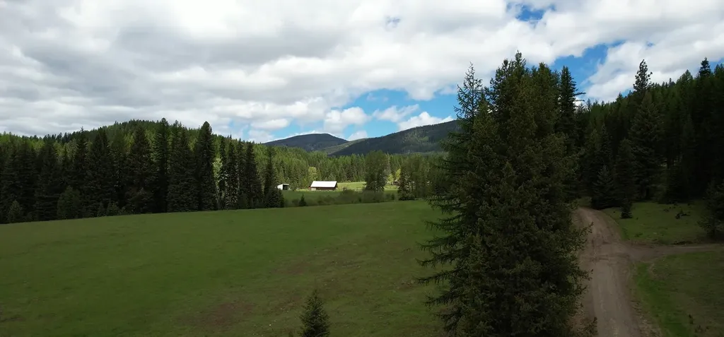 1876 Timber Creek Road Haugan MT 59866