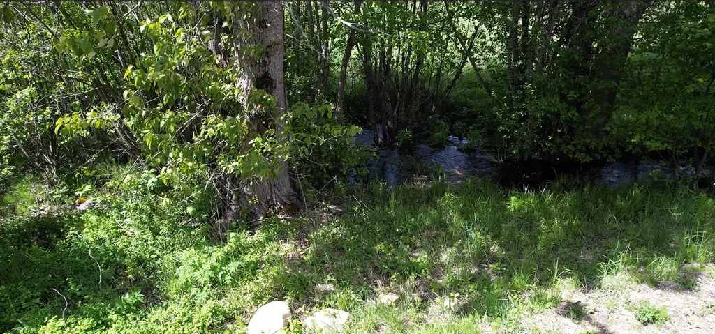 1876 Timber Creek Road Haugan MT 59866