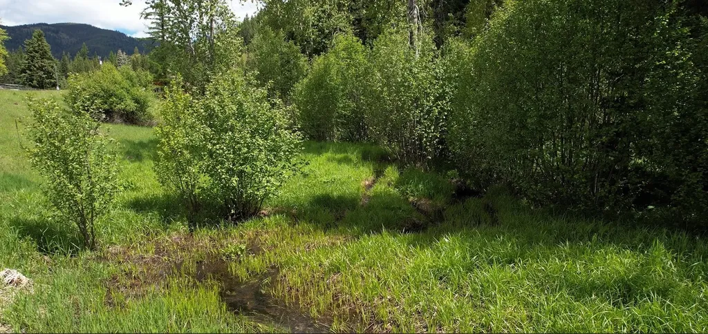 1876 Timber Creek Road Haugan MT 59866