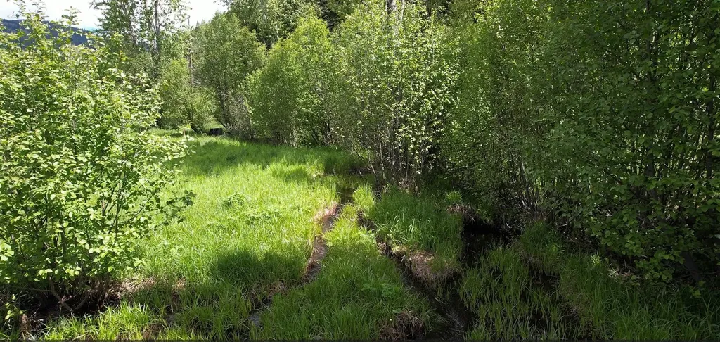 1876 Timber Creek Road Haugan MT 59866