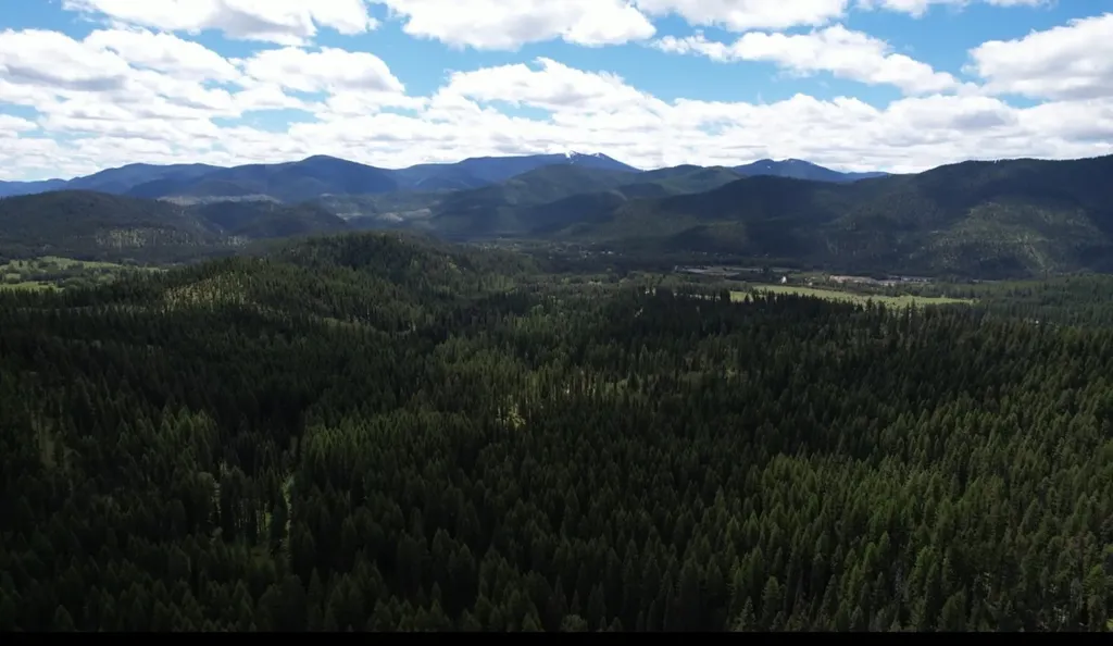 1876 Timber Creek Road Haugan MT 59866