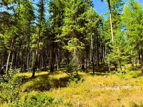 747 Beaver Lake Road Whitefish MT 59937