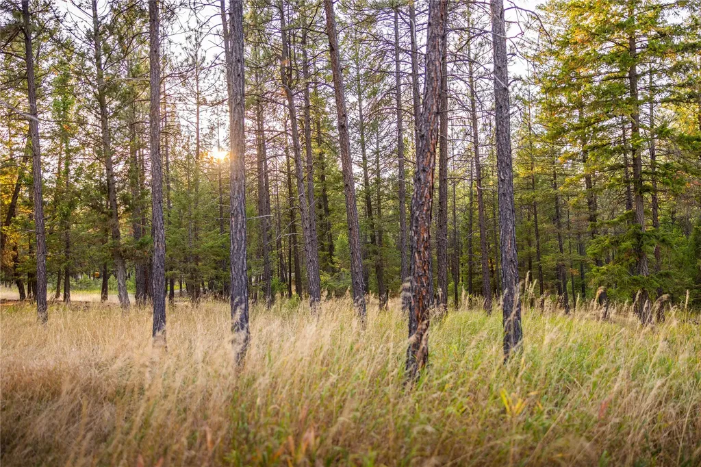 576 Koocanusa Estates Drive Eureka MT 59917