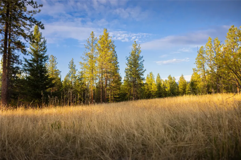 576 Koocanusa Estates Drive Eureka MT 59917