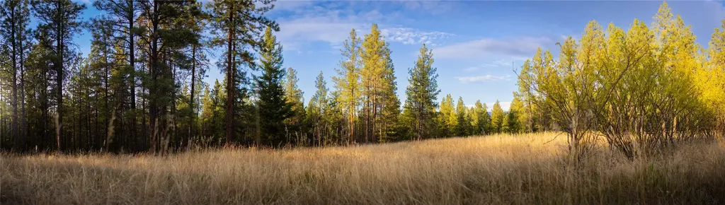 576 Koocanusa Estates Drive Eureka MT 59917
