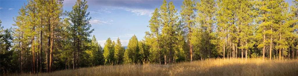 576 Koocanusa Estates Drive Eureka MT 59917