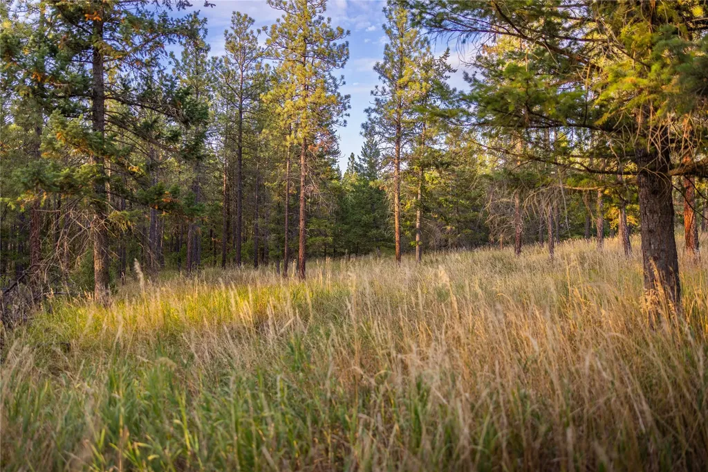 576 Koocanusa Estates Drive Eureka MT 59917