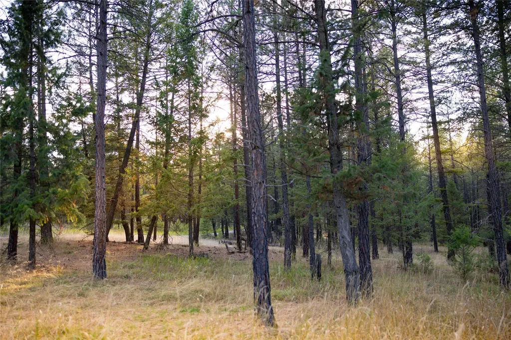576 Koocanusa Estates Drive Eureka MT 59917