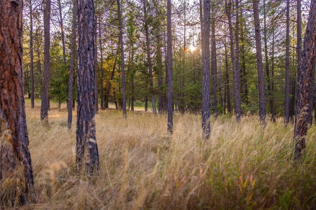 576 Koocanusa Estates Drive Eureka MT 59917