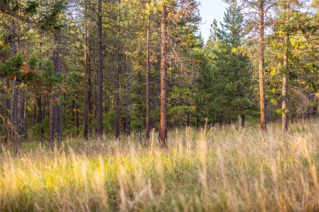 576 Koocanusa Estates Drive Eureka MT 59917