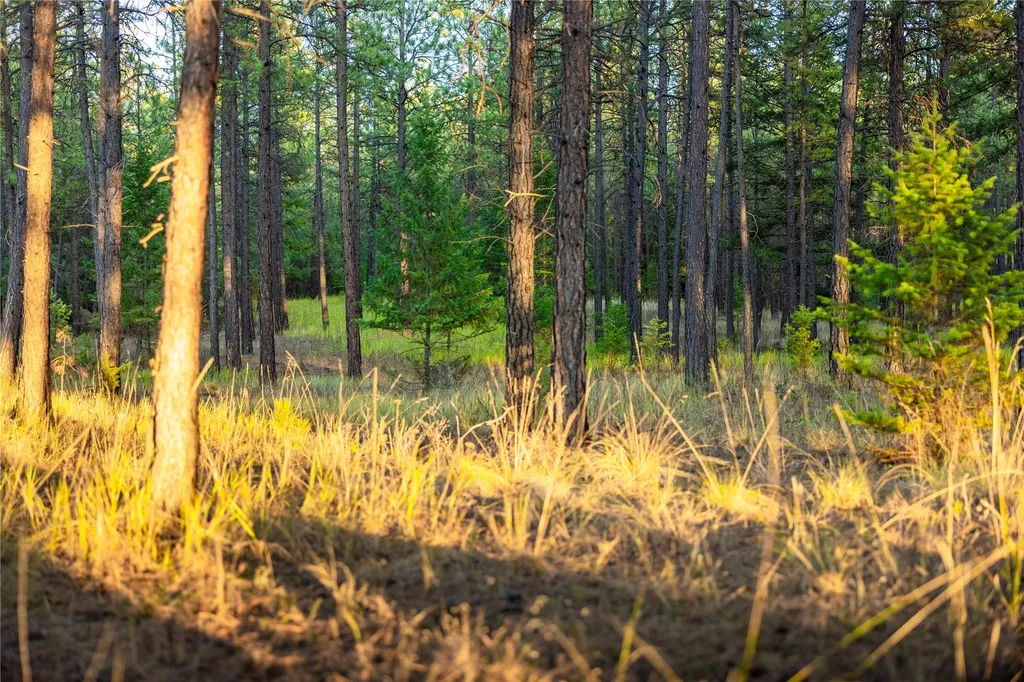 576 Koocanusa Estates Drive Eureka MT 59917