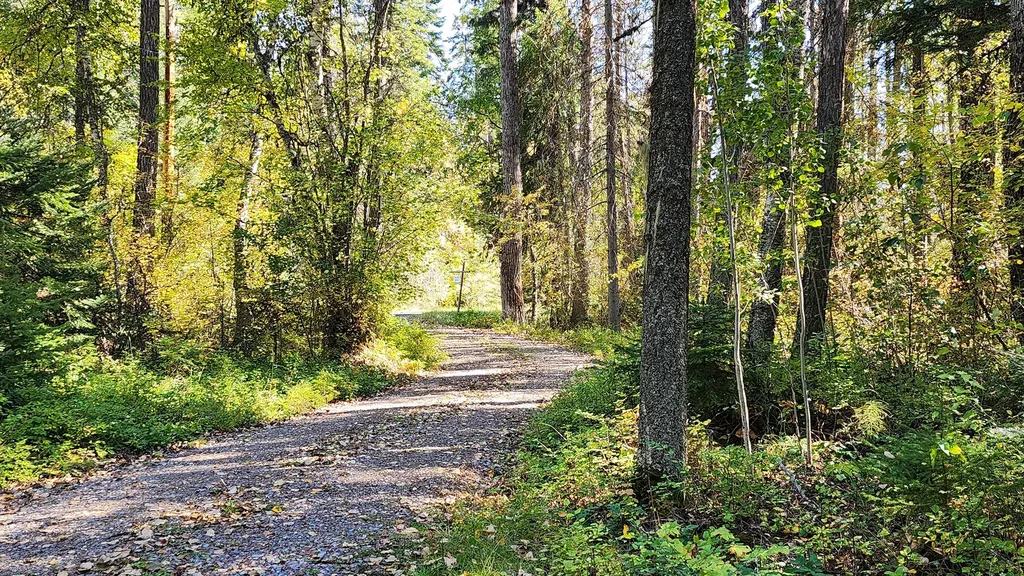 22703 Mt Highway 83 Bigfork MT 59911