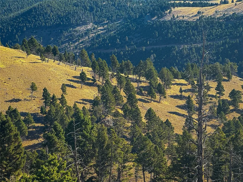 Nhn High Ore Road Boulder MT 59632