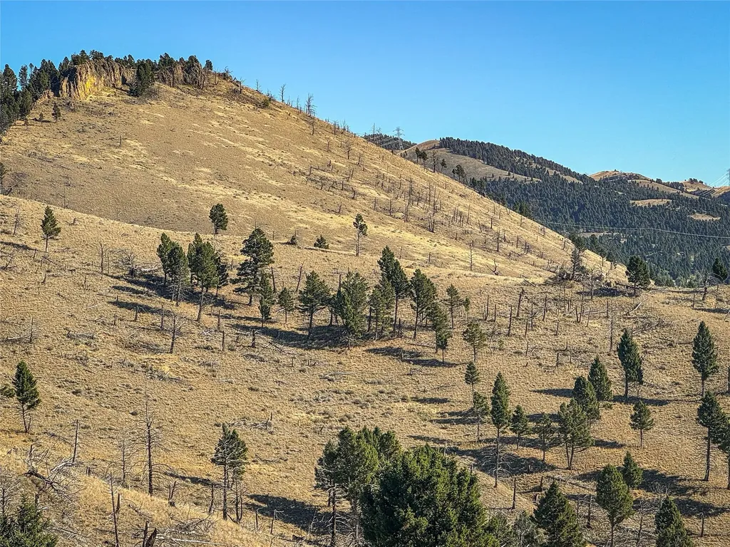 Nhn High Ore Road Boulder MT 59632