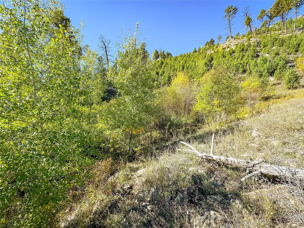 Nhn High Ore Road Boulder MT 59632