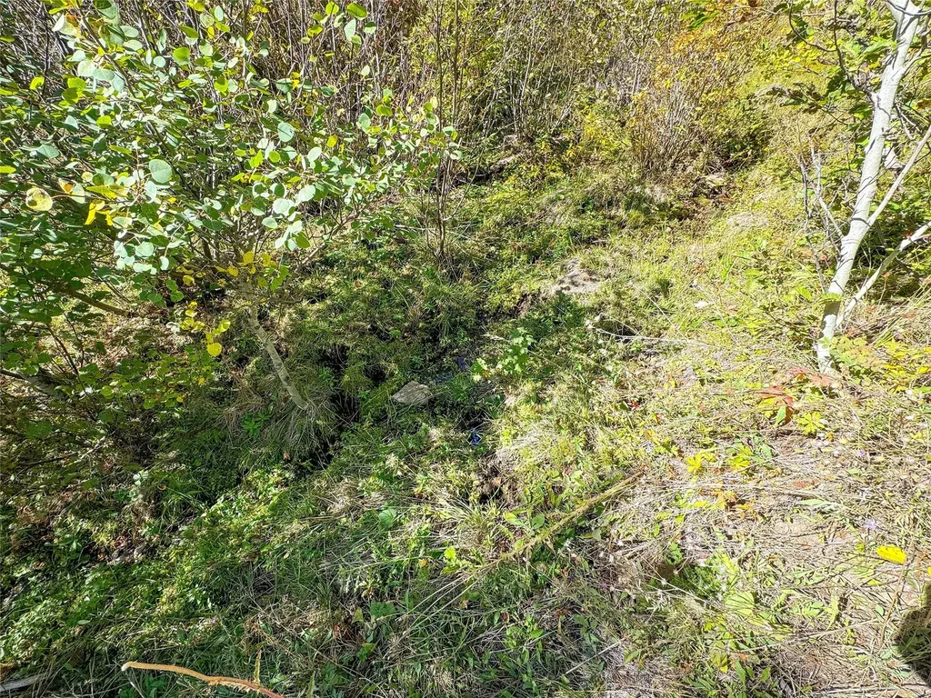 Nhn High Ore Road Boulder MT 59632
