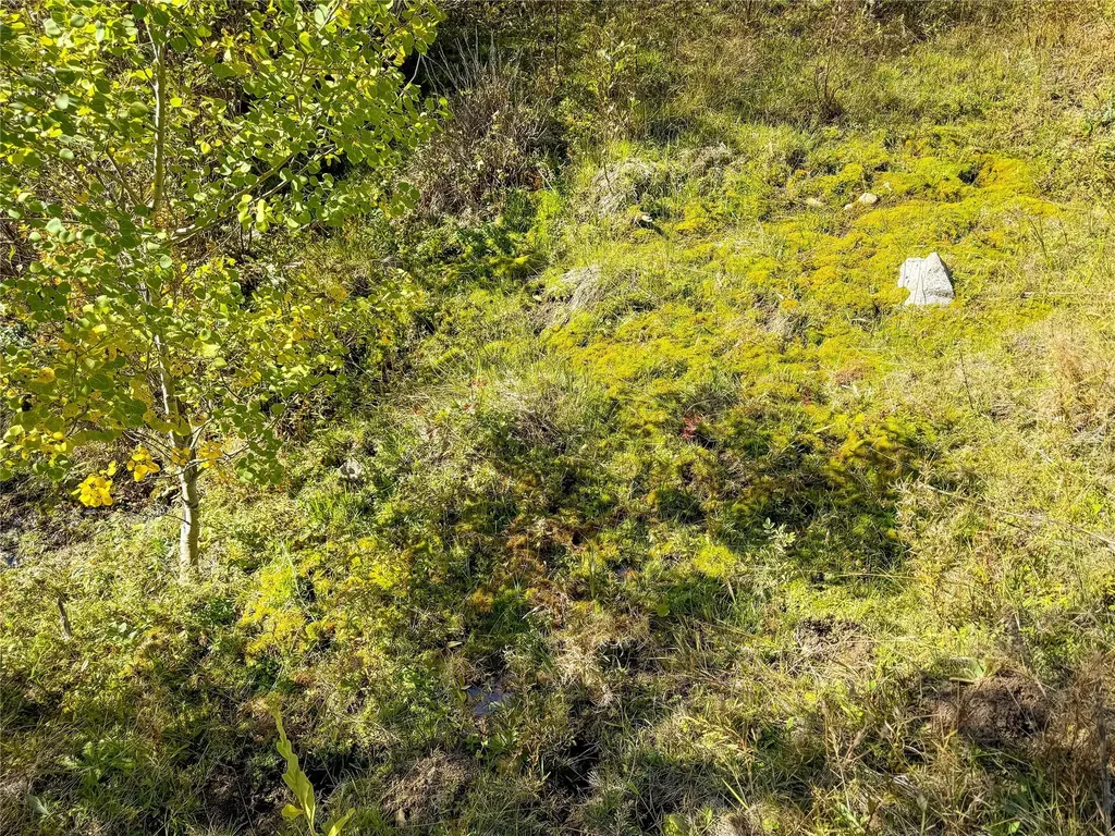 Nhn High Ore Road Boulder MT 59632