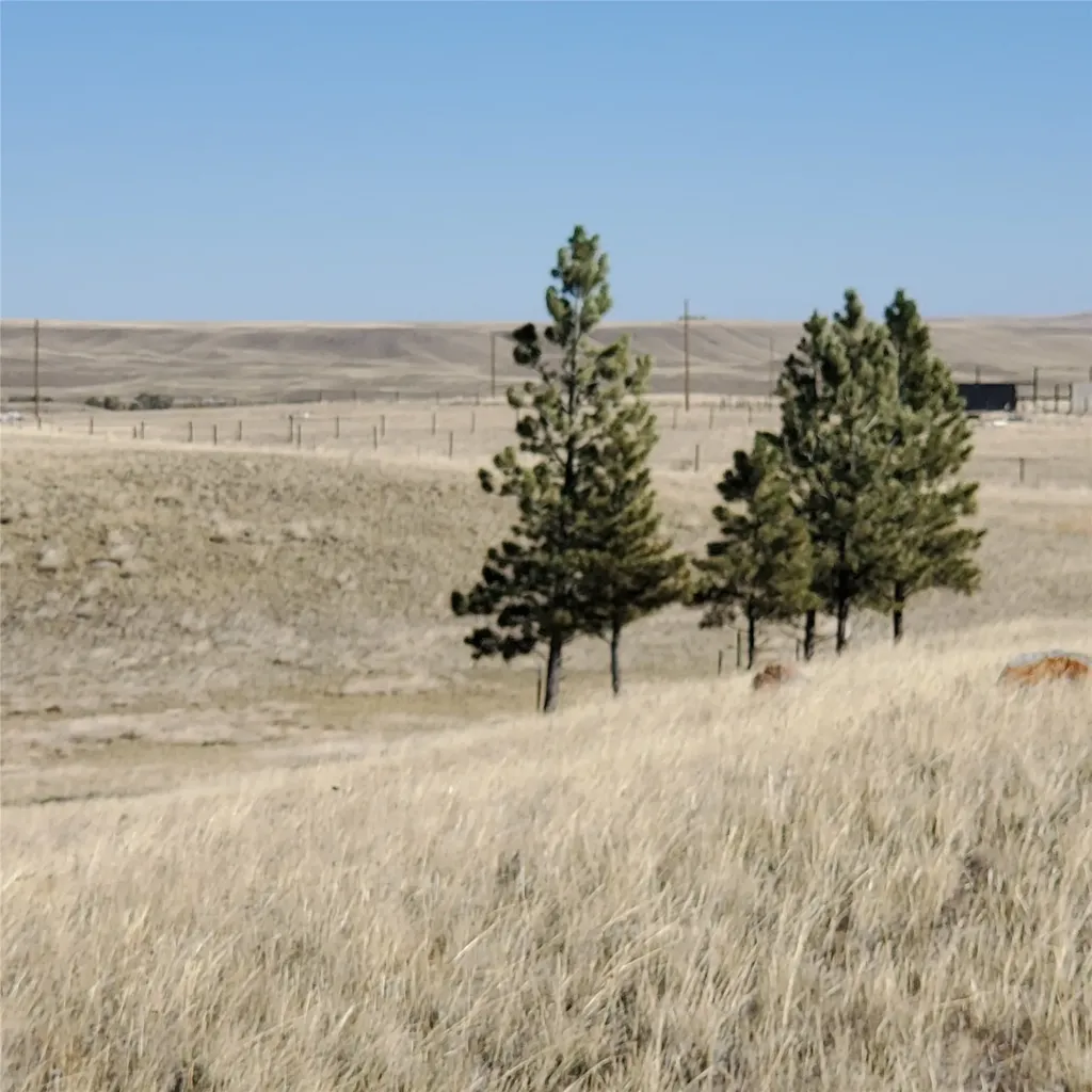 Lot 206 S Cottonwood Drive Augusta MT 59410